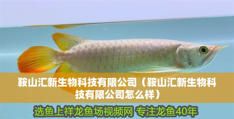 鞍山匯新生物科技有限公司（鞍山匯新生物科技有限公司怎么樣）