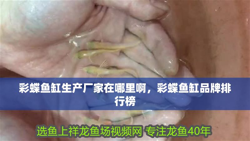 彩蝶魚缸生產(chǎn)廠家在哪里啊，彩蝶魚缸品牌排行榜
