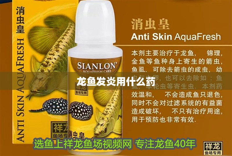龍魚發炎用什么藥 龍魚發炎用什么藥 龍魚百科 第2張