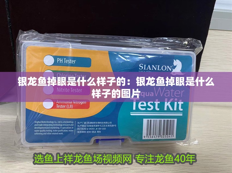 銀龍魚掉眼是什么樣子的：銀龍魚掉眼是什么樣子的圖片