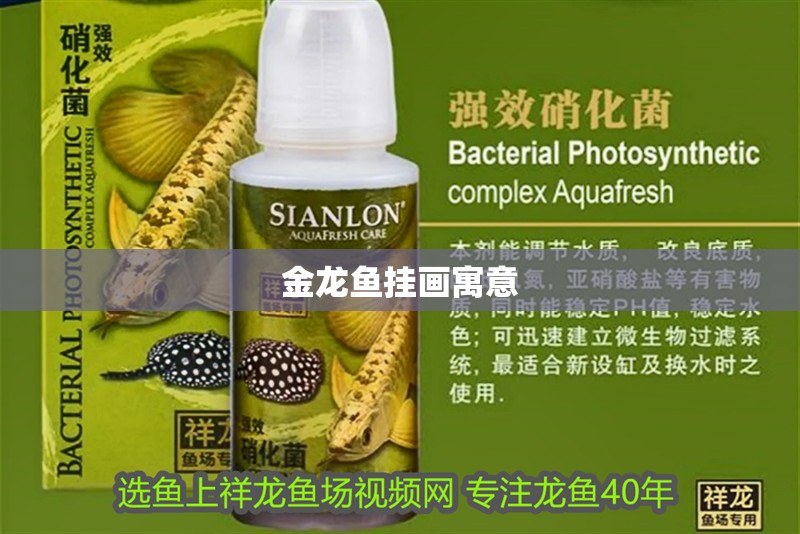 金龍魚(yú)掛畫(huà)寓意