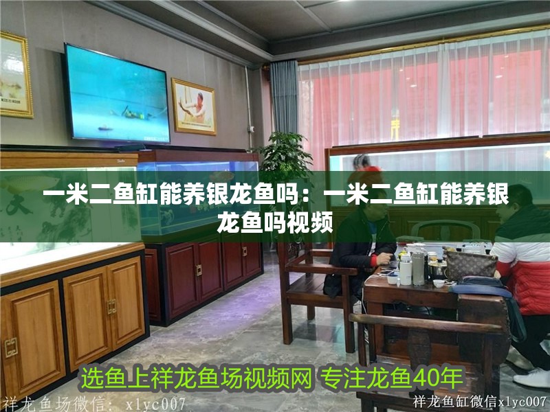 一米二魚缸能養(yǎng)銀龍魚嗎：一米二魚缸能養(yǎng)銀龍魚嗎視頻