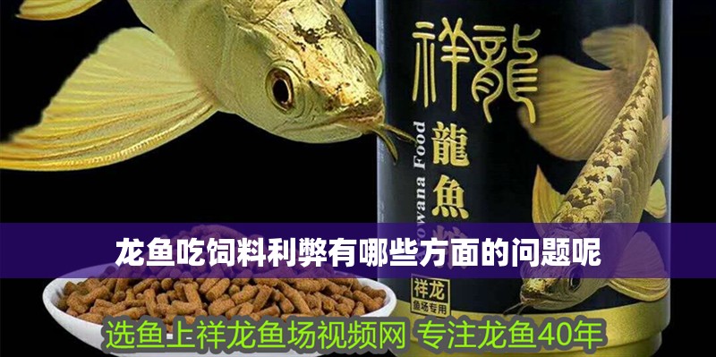 龍魚吃飼料利弊有哪些方面的問題呢