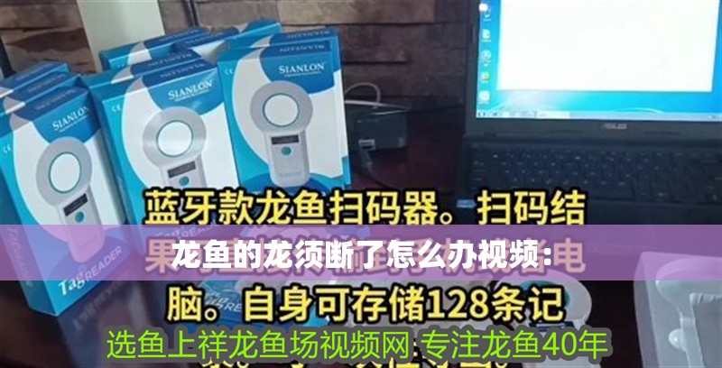 龍魚的龍須斷了怎么辦視頻: 水族問答 龍魚的龍須斷了怎么辦視頻: 龍魚的龍須斷了怎么辦視頻: 水族問答