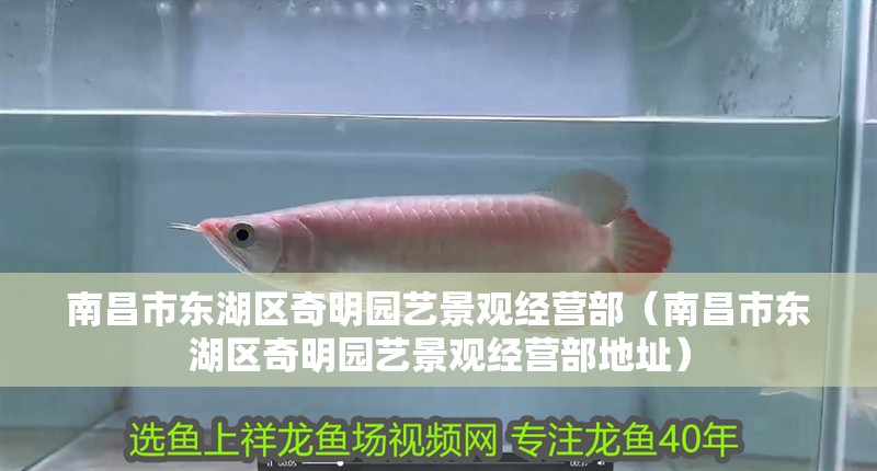 南昌市東湖區(qū)奇明園藝景觀經(jīng)營部（南昌市東湖區(qū)奇明園藝景觀經(jīng)營部地址）