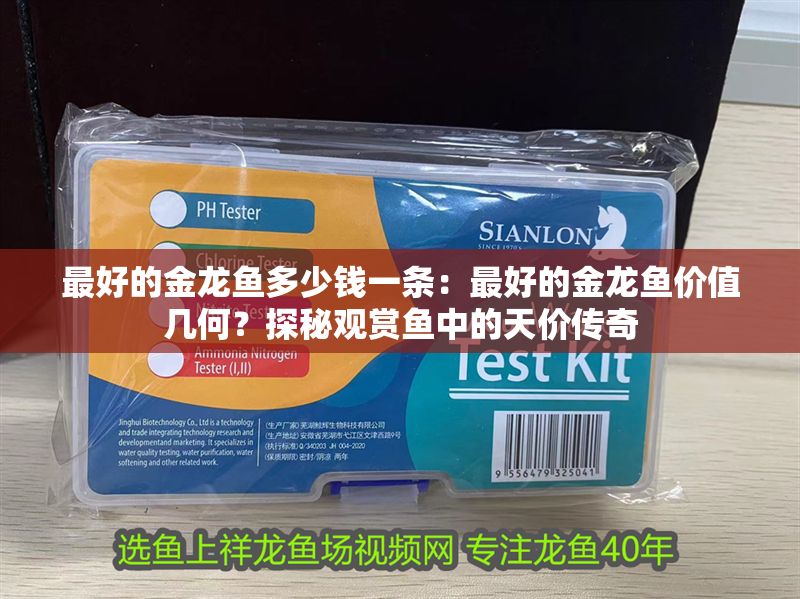 最好的金龍魚多少錢一條：最好的金龍魚價值幾何？探秘觀賞魚中的天價傳奇