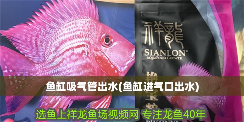 魚缸吸氣管出水(魚缸進氣口出水)