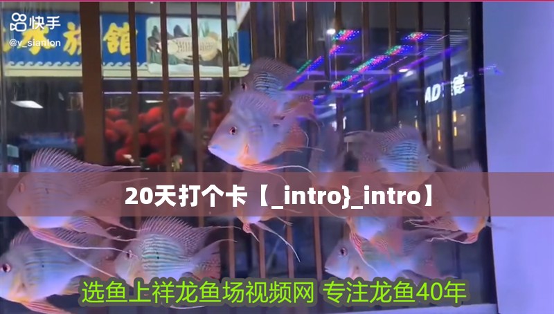 20天打個卡【_intro}_intro】