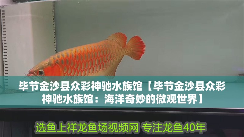 畢節(jié)<strong><mark>金沙</mark></strong>縣眾彩神馳水族館【畢節(jié)<strong><mark>金沙</mark></strong>縣眾彩神馳水族館：海洋奇妙的微觀世界】