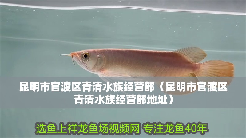 昆明市官渡區青清水族經營部（昆明市官渡區青清水族經營部地址） 昆明市官渡區青清水族經營部（昆明市官渡區青清水族經營部地址） 全國水族館企業名錄 第2張