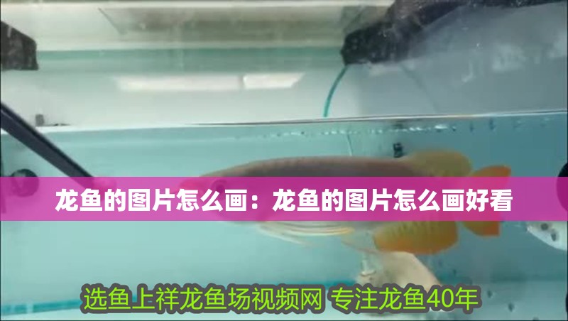 龍魚的圖片怎么畫：龍魚的圖片怎么畫好看
