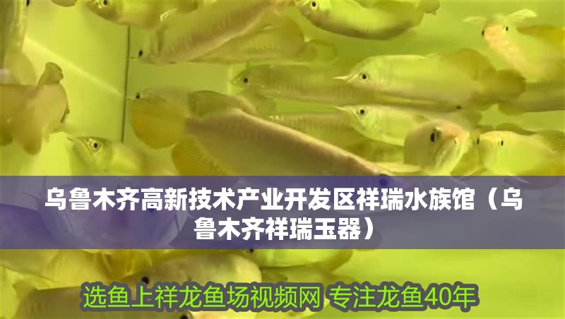 烏魯木齊高新技術(shù)產(chǎn)業(yè)開發(fā)區(qū)祥瑞水族館（烏魯木齊祥瑞玉器）