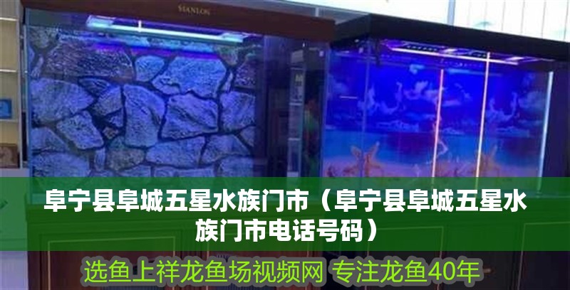 阜寧縣阜城五星水族門市（阜寧縣阜城五星水族門市電話號碼）