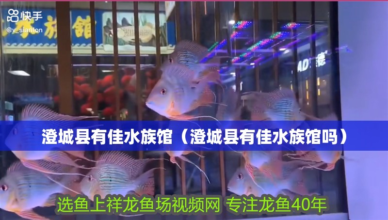 澄城縣有佳水族館(澄城縣有佳水族館嗎) 全國水族館企業名錄 第2張 澄城縣有佳水族館(澄城縣有佳水族館嗎) 澄城縣有佳水族館(澄城縣有佳水族館嗎) 全國水族館企業名錄 第2張