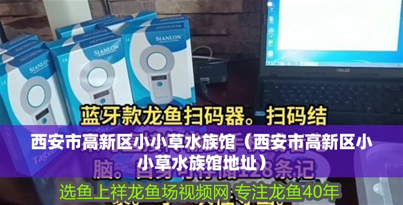 西安市高新區(qū)小小草水族館（西安市高新區(qū)小小草水族館地址）