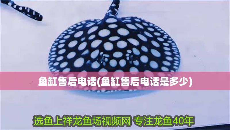 魚缸售后電話(魚缸售后電話是多少)