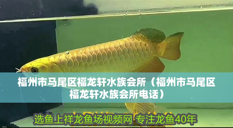 福州市馬尾區福龍軒水族會所（福州市馬尾區福龍軒水族會所電話）