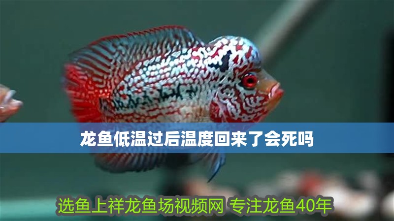 大型景觀魚缸設計效果圖：大型景觀魚缸景觀設計效果圖大型景觀魚缸設計效果圖