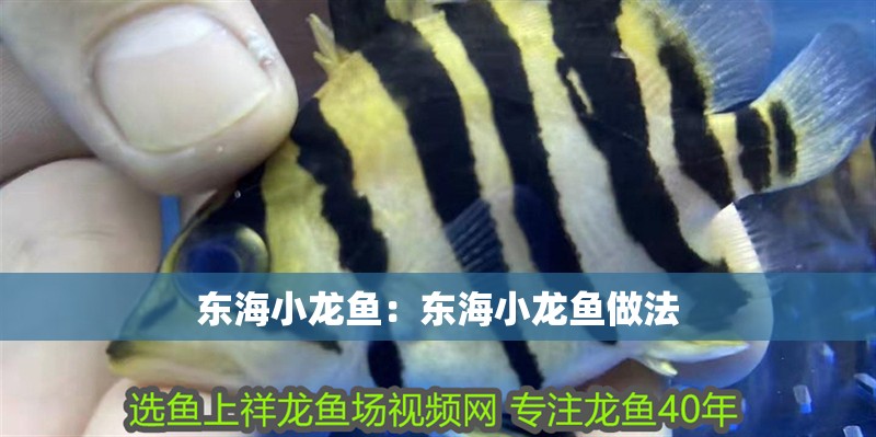 東海小龍魚：東海小龍魚做法