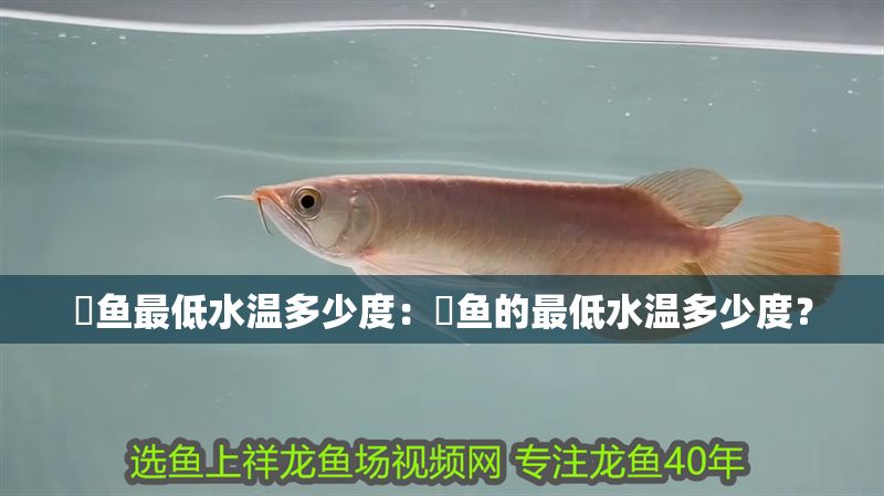 魟魚最低水溫多少度：魟魚的最低水溫多少度？