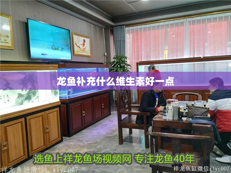 龍魚補充什么維生素好一點