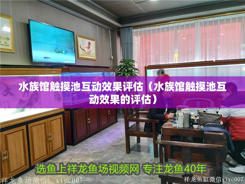 水族館觸摸池互動效果評估（水族館觸摸池互動效果的評估）