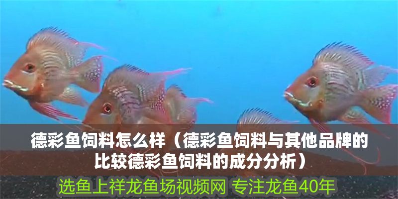 德彩魚(yú)飼料怎么樣（德彩魚(yú)飼料與其他品牌的比較德彩魚(yú)飼料的成分分析）