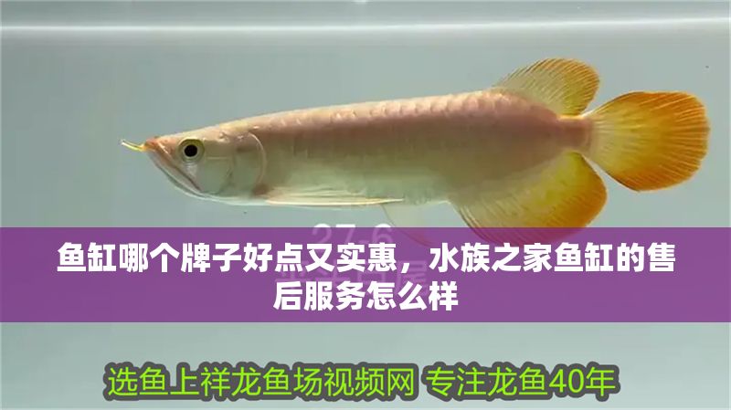 魚缸哪個牌子好點又實惠，水族之家魚缸的售后服務怎么樣