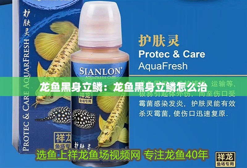 龍魚黑身立鱗：龍魚黑身立鱗怎么治