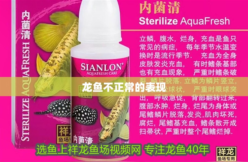 龍魚不正常的表現