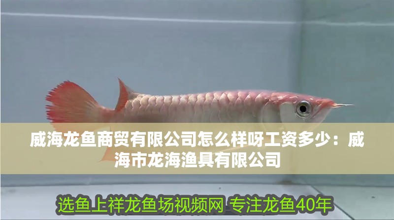 威海龍魚商貿有限公司怎么樣呀工資多少:威海市龍海漁具有限公司 水族問答 威海龍魚商貿有限公司怎么樣呀工資多少:威海市龍海漁具有限公司 威海龍魚商貿有限公司怎么樣呀工資多少:威海市龍海漁具有限公司 水族問答