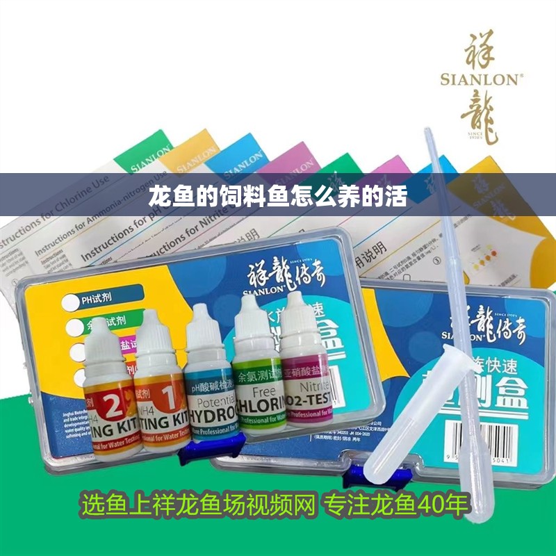 龍魚的飼料魚怎么養(yǎng)的活