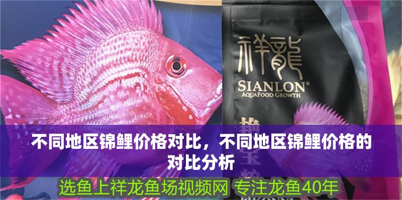 不同地區(qū)錦鯉價格對比，不同地區(qū)錦鯉價格的對比分析