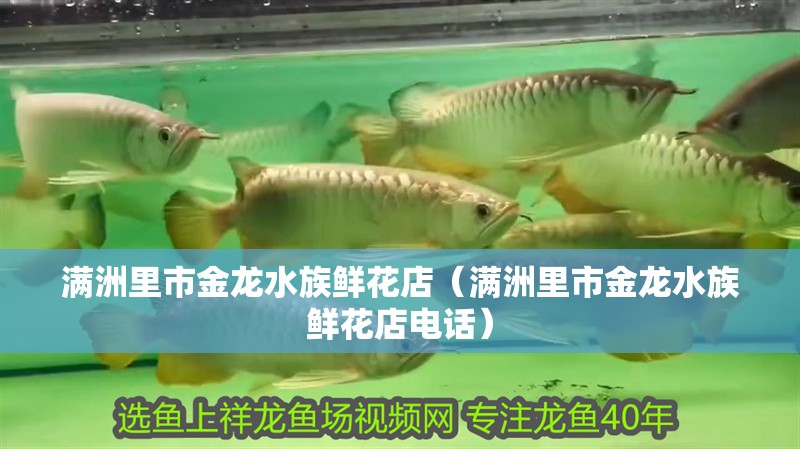 滿洲里市金龍水族鮮花店(滿洲里市金龍水族鮮花店電話) 全國水族館企業名錄 第2張 滿洲里市金龍水族鮮花店(滿洲里市金龍水族鮮花店電話) 滿洲里市金龍水族鮮花店(滿洲里市金龍水族鮮花店電話) 全國水族館企業名錄 第2張