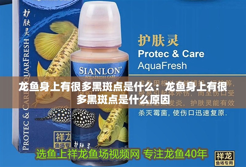 龍魚身上有很多黑斑點是什么：龍魚身上有很多黑斑點是什么原因