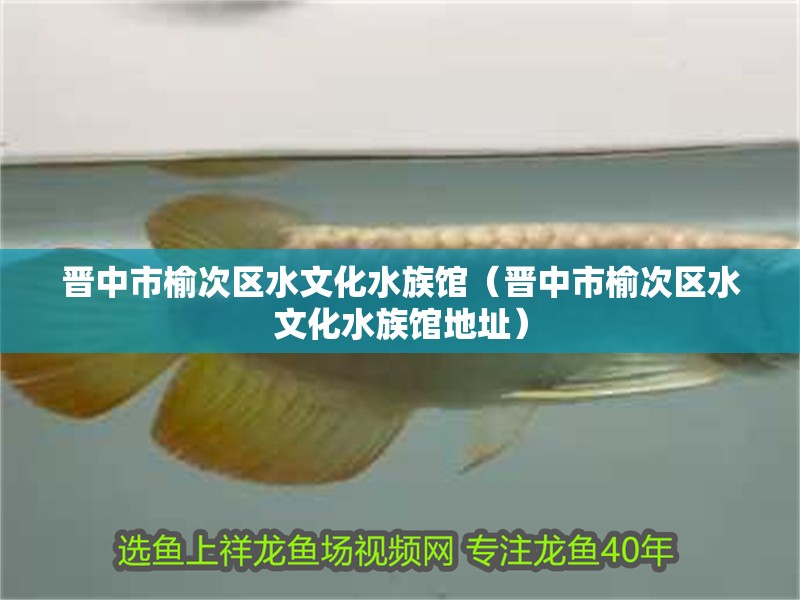 晉中市榆次區(qū)水文化水族館（晉中市榆次區(qū)水文化水族館地址）