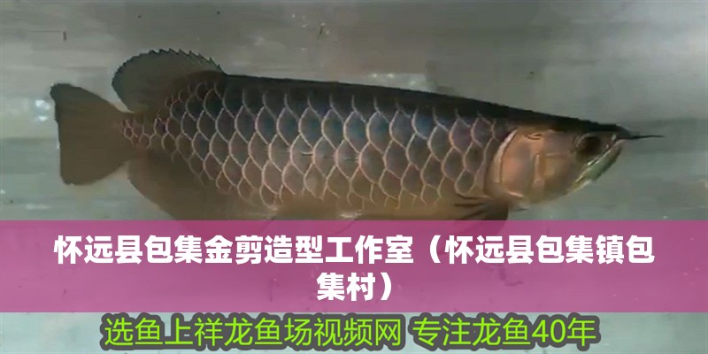 虎魚的功效與作用視頻教程(鰕虎魚營養價值怎么樣) 虎魚百科 第2張 虎魚的功效與作用視頻教程(鰕虎魚營養價值怎么樣) 虎魚的功效與作用視頻教程(鰕虎魚營養價值怎么樣) 虎魚百科 第2張