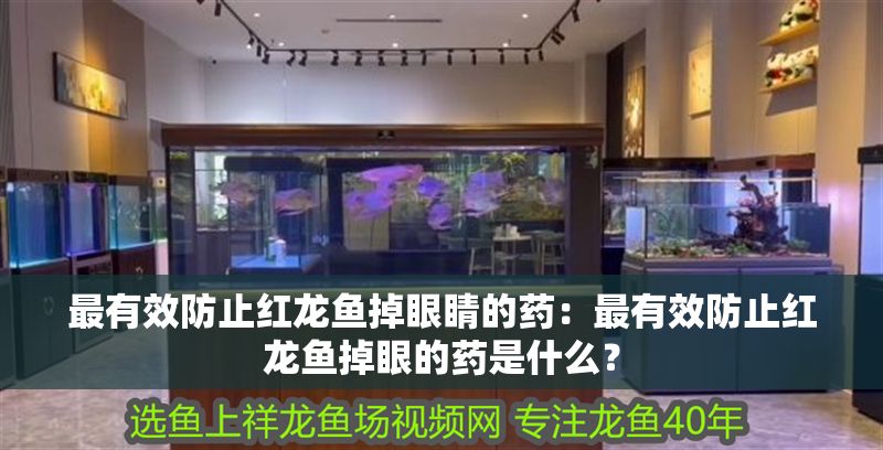 最有效防止紅龍魚掉眼睛的藥：最有效防止紅龍魚掉眼的藥是什么？