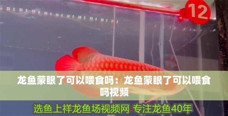 龍魚蒙眼了可以喂食嗎：龍魚蒙眼了可以喂食嗎視頻