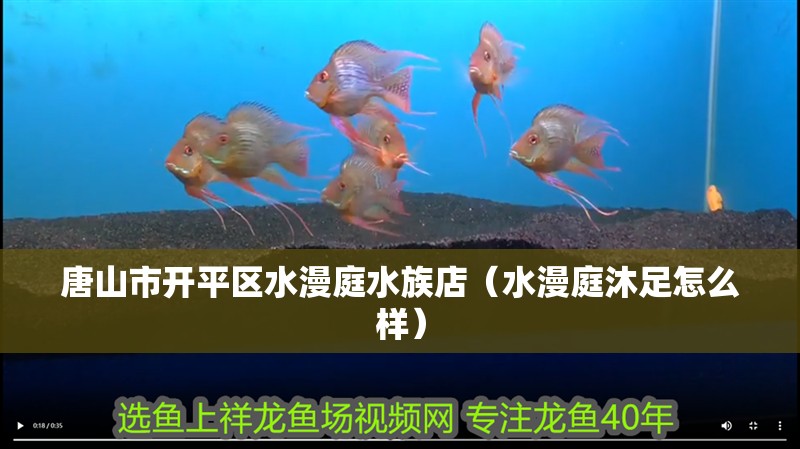 唐山市開平區水漫庭水族店（水漫庭沐足怎么樣） 唐山市開平區水漫庭水族店（水漫庭沐足怎么樣） 全國水族館企業名錄 第2張