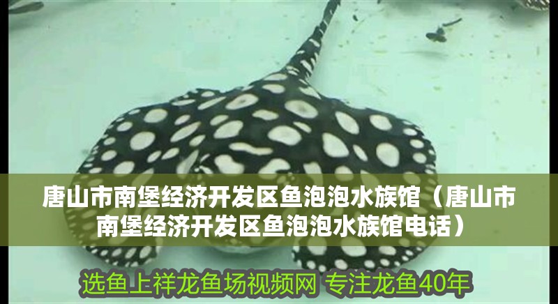 唐山市南堡經(jīng)濟開發(fā)區(qū)魚泡泡水族館（唐山市南堡經(jīng)濟開發(fā)區(qū)魚泡泡水族館電話）