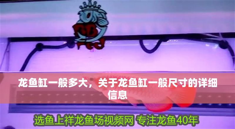 龍魚缸一般多大，關于龍魚缸一般尺寸的詳細信息
