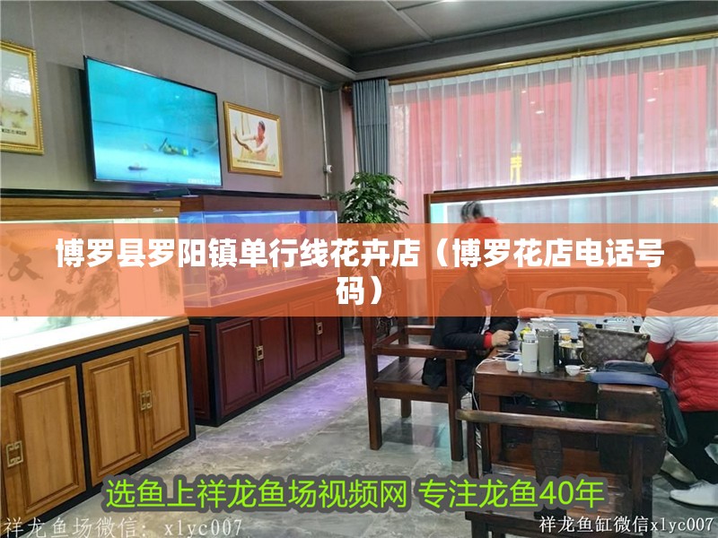 博羅縣羅陽鎮單行線花卉店（博羅花店電話號碼） 博羅縣羅陽鎮單行線花卉店（博羅花店電話號碼） 全國水族館企業名錄 第2張