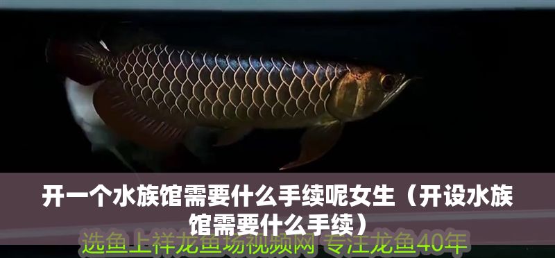 開一個水族館需要什么手續呢女生（開設水族館需要什么手續） 開一個水族館需要什么手續呢女生（開設水族館需要什么手續） 水族館百科（水族館加盟） 第1張