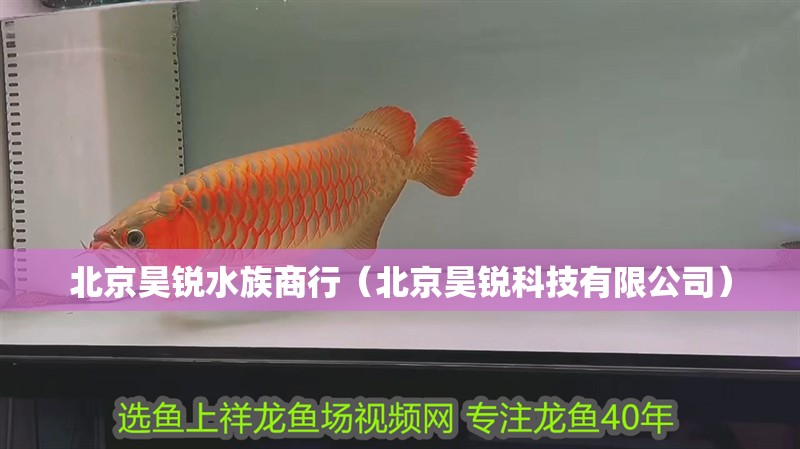 北京昊銳水族商行（北京昊銳科技有限公司） 北京昊銳水族商行（北京昊銳科技有限公司） 全國水族館企業名錄 第2張