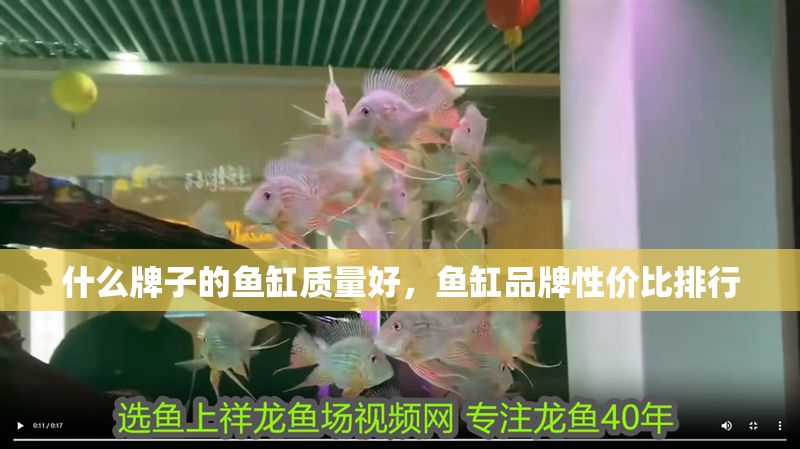 什么牌子的魚缸質(zhì)量好，魚缸品牌性價比排行
