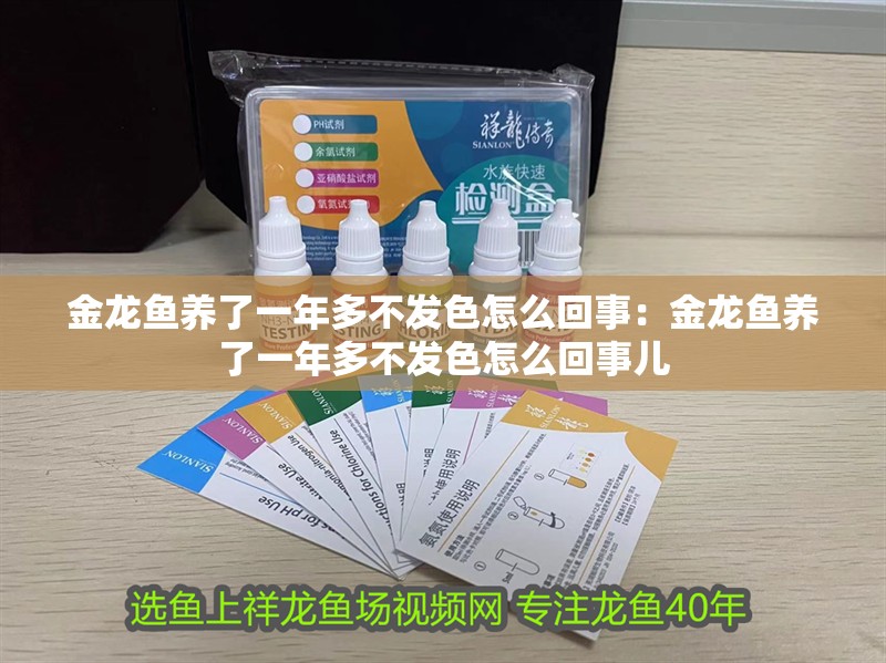 金龍魚養(yǎng)了一年多不發(fā)色怎么回事：金龍魚養(yǎng)了一年多不發(fā)色怎么回事兒 金龍魚養(yǎng)了一年多不發(fā)色怎么回事：金龍魚養(yǎng)了一年多不發(fā)色怎么回事兒 水族問答