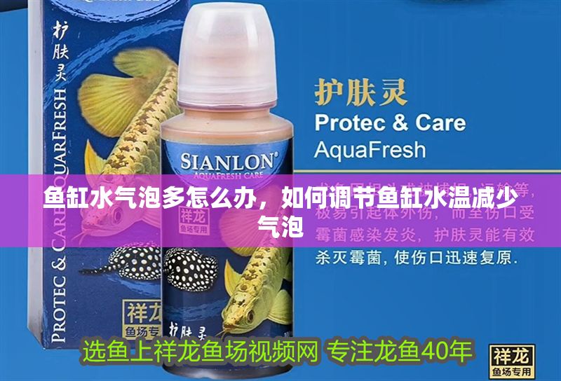 魚缸水氣泡多怎么辦,如何調(diào)節(jié)魚缸水溫減少氣泡 魚缸百科 第2張 魚缸水氣泡多怎么辦,如何調(diào)節(jié)魚缸水溫減少氣泡 魚缸水氣泡多怎么辦,如何調(diào)節(jié)魚缸水溫減少氣泡 魚缸百科 第2張