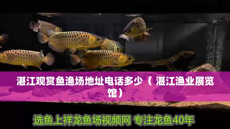湛江觀賞魚漁場地址電話多少（ 湛江漁業展覽館）