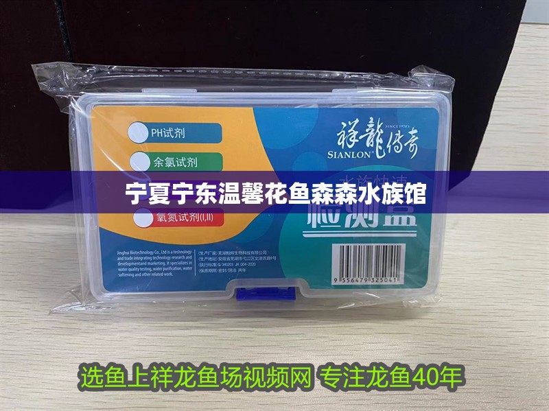 寧夏寧東溫馨花魚森森水族館